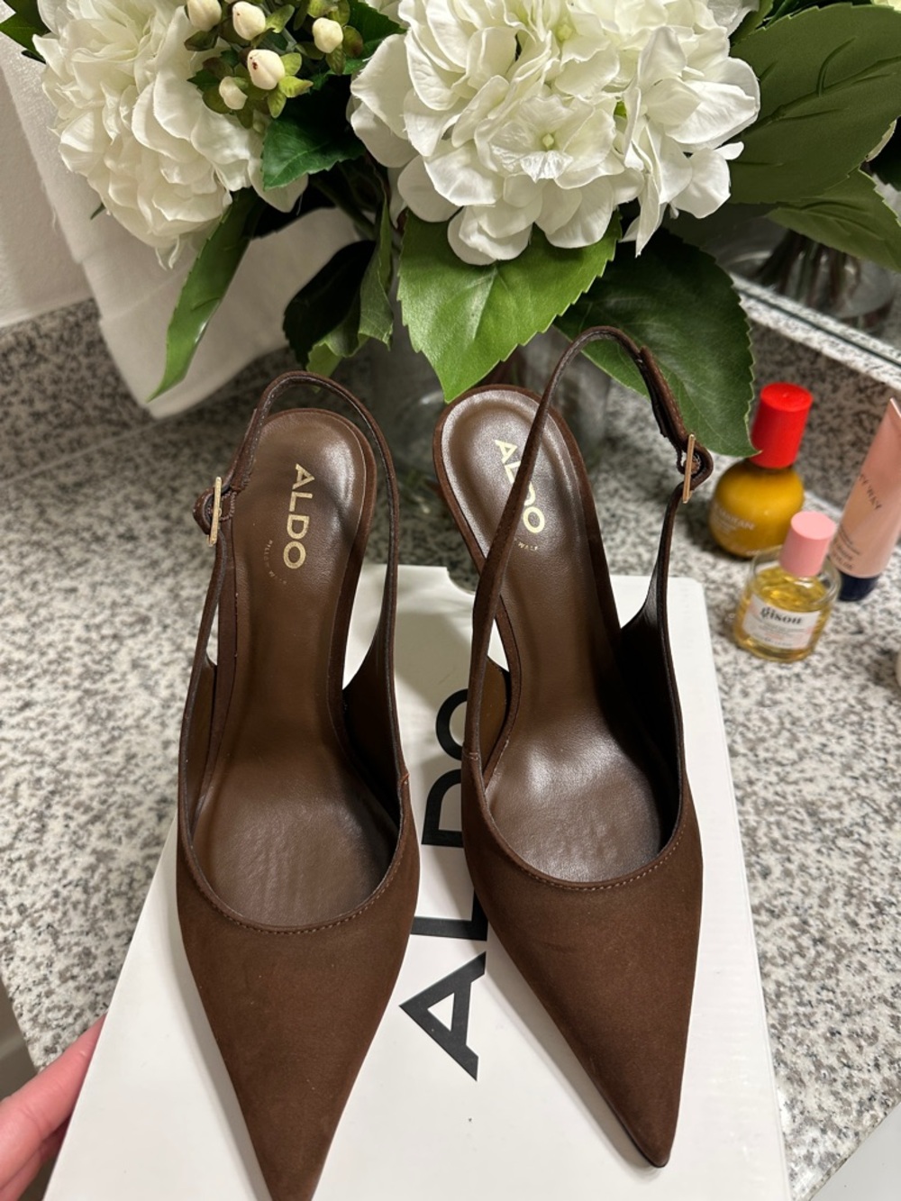 ALDO Brown Pointed Slingback Pumps